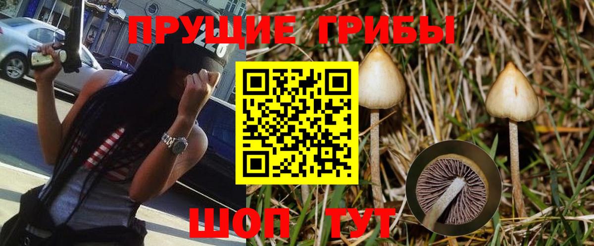 Галлюциногенные грибы Magic Shrooms Махачкала