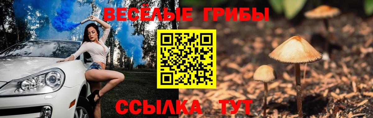 Псилоцибиновые грибы Cubensis  Вход с VPN  Махачкала 